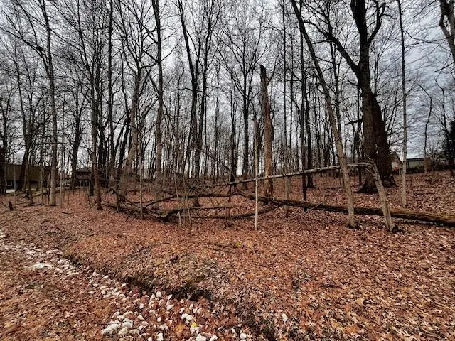 0 Northern Spy Drive, Howard, OH 43028 - Image #3