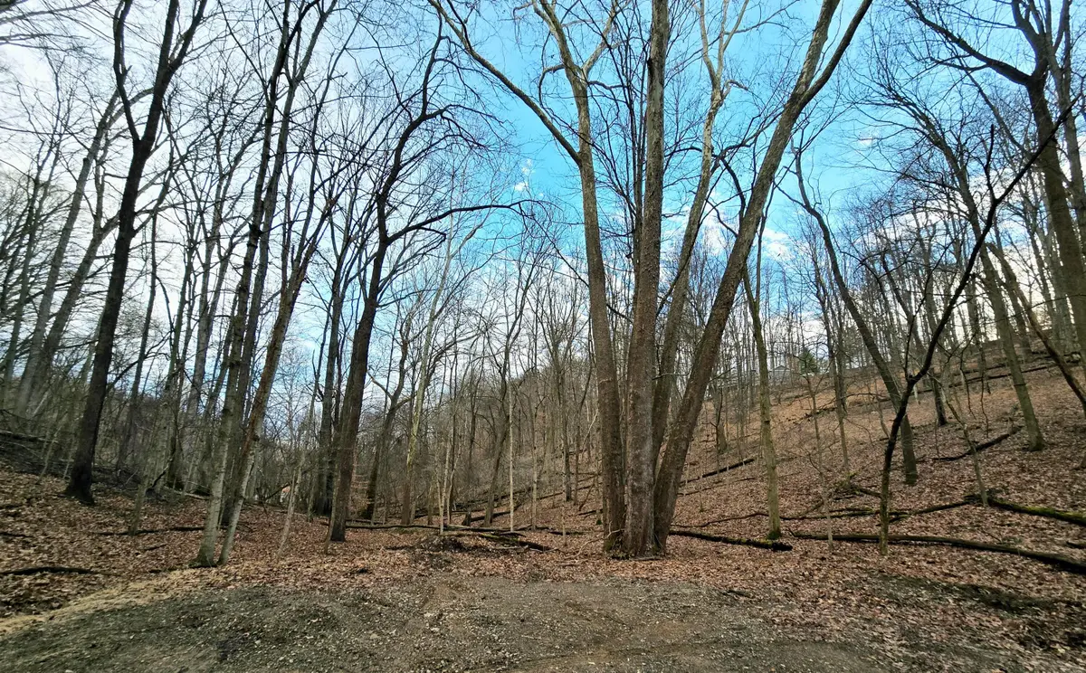 1767 Mohican Court, Hide A Way Hills, OH 43107 - Image #1