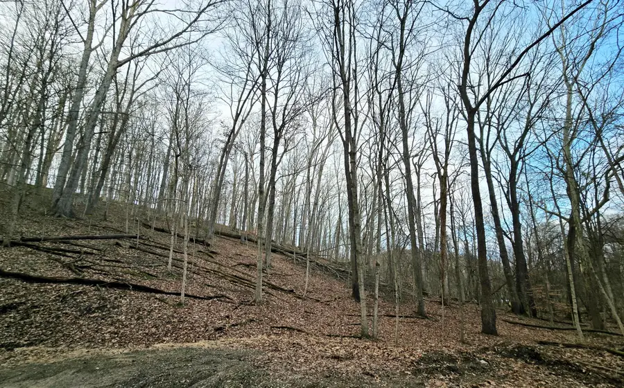 1767 Mohican Court, Hide A Way Hills, OH 43107 - Image #3