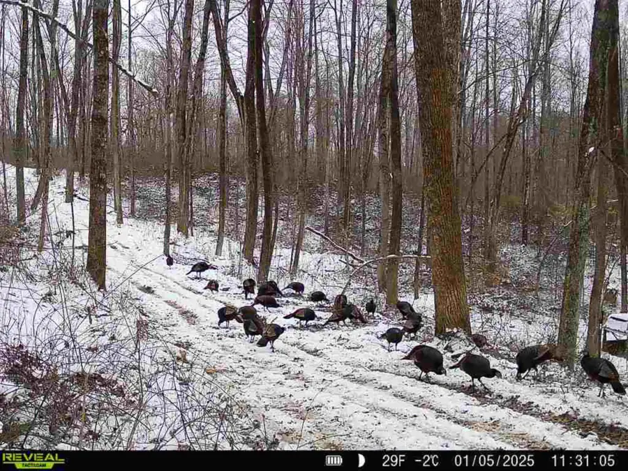 0 Dutch Ridge Road, New Lexington, OH 43764 - Image #3