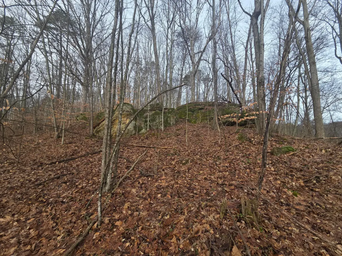 12001 W Buck Run Road, Rockbridge, OH 43149 - Image #1