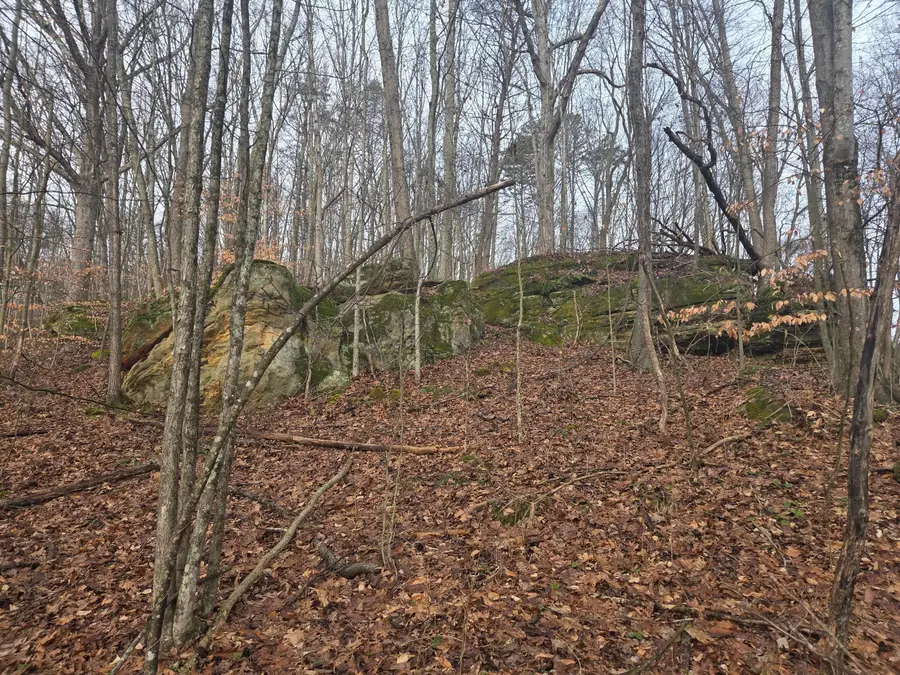 12001 W Buck Run Road, Rockbridge, OH 43149 - Image #2