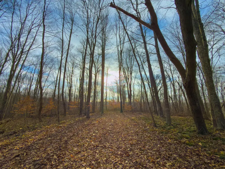 0 Long Fork Road, Piketon, OH 45661 - #3