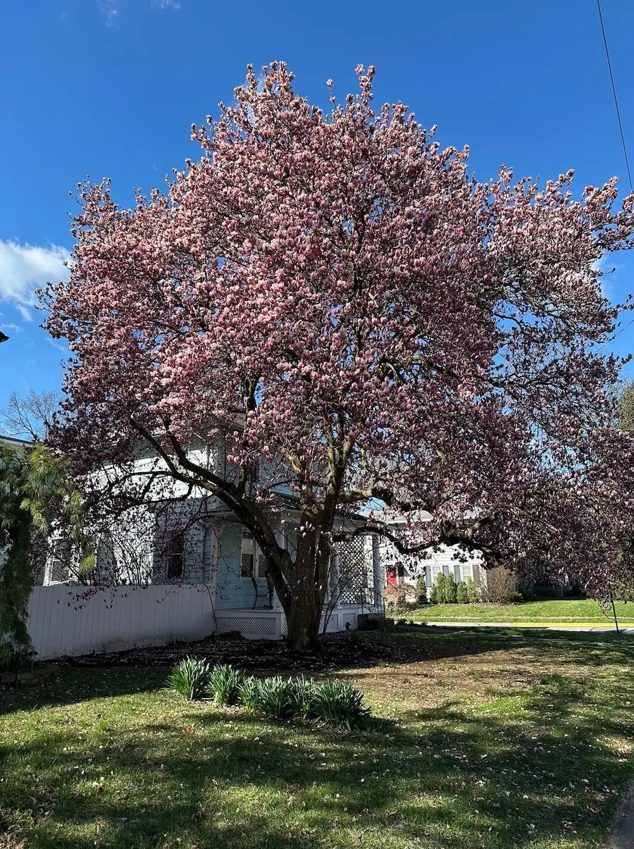 1875 W 1st Avenue, Columbus, OH 43212 - Image #3