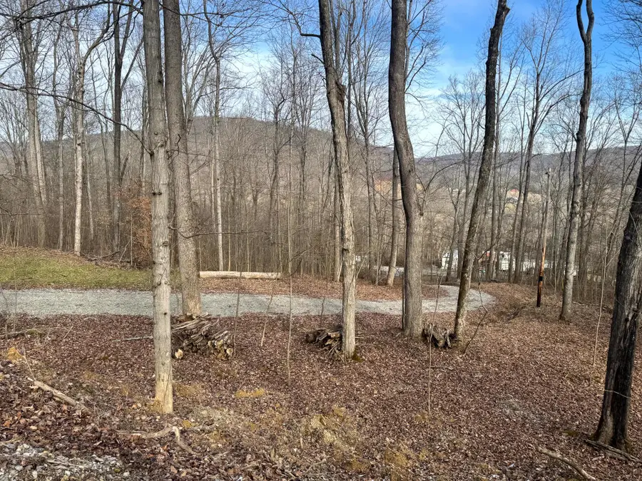 201 Pike Lake Rd Road, Bainbridge, OH 45612 - Image #2