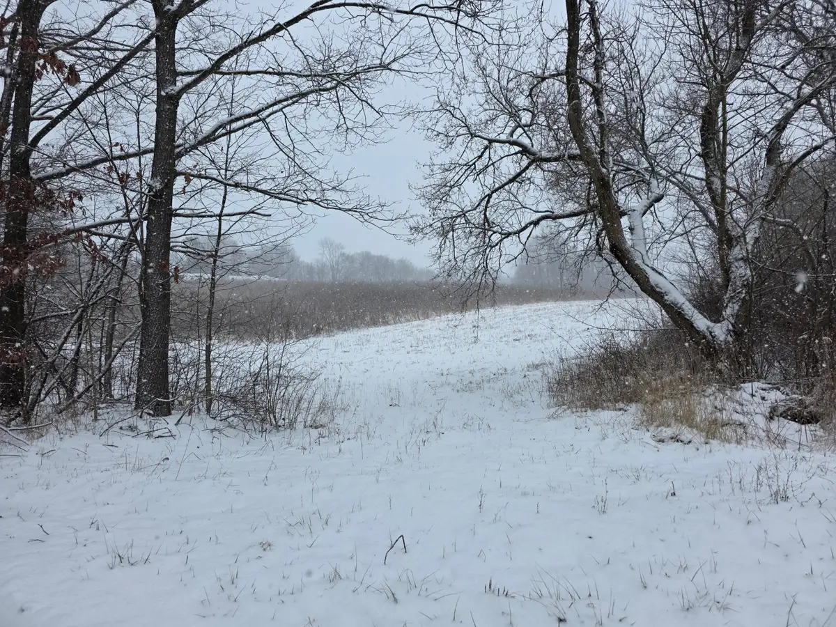 0 Riggle Road, Bellville, OH 44813 - Image #1