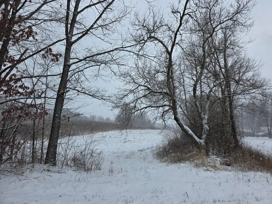 0 Riggle Road, Bellville, OH 44813 - Image #3