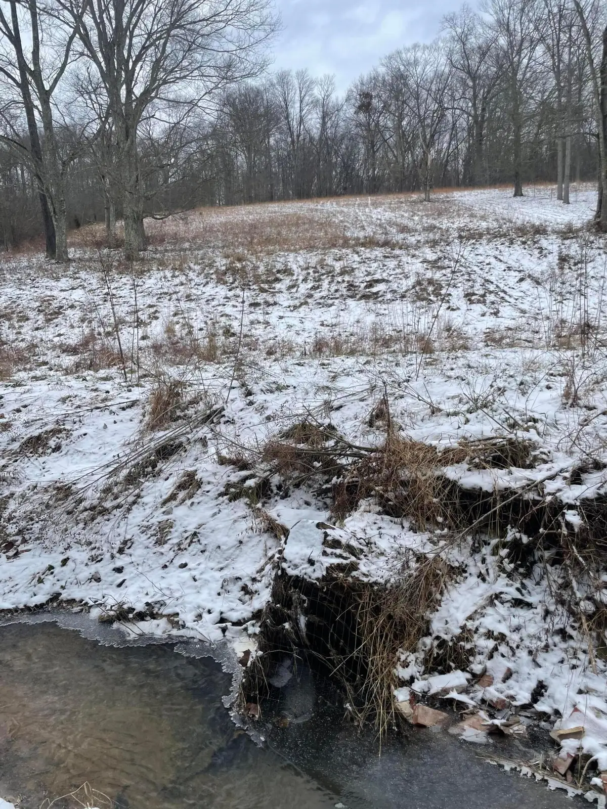 15860 Stump Run, Laurelville, OH 43135 - Image #1