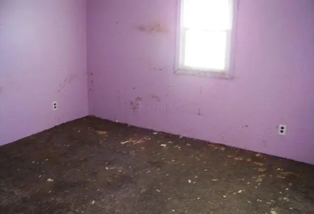 404 N Glendale Street, Kenton, OH 43326 - Image #3