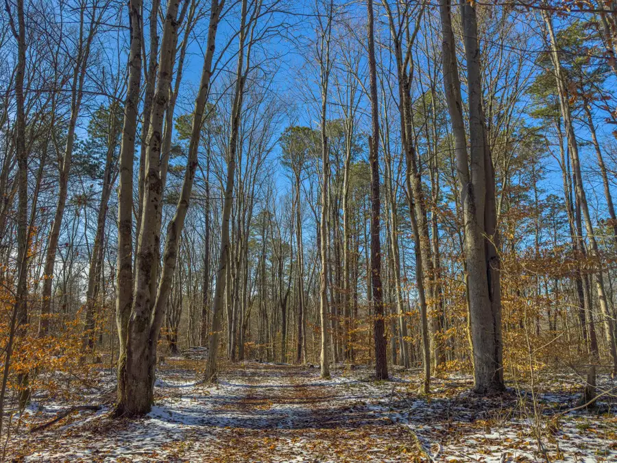 5230 Road, Coolville, OH 45723 - Image #2