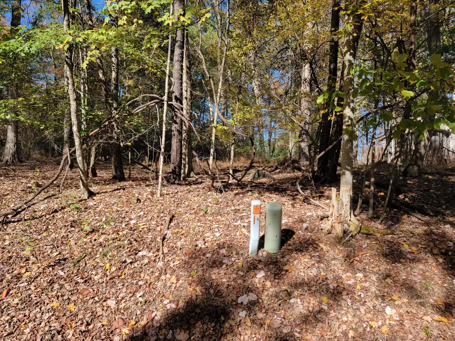 0 Greencrest Court, Howard, OH 43028 - Image #2