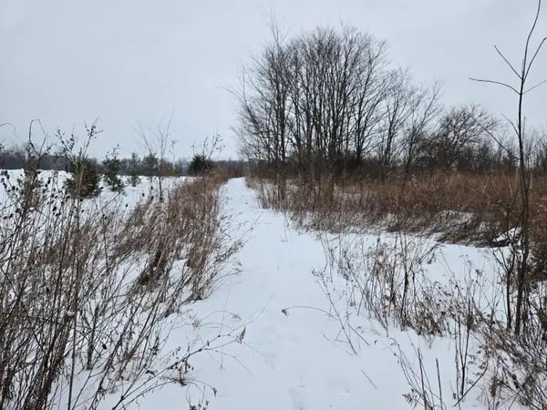 0 Sycamore Road, Centerburg, OH 43011