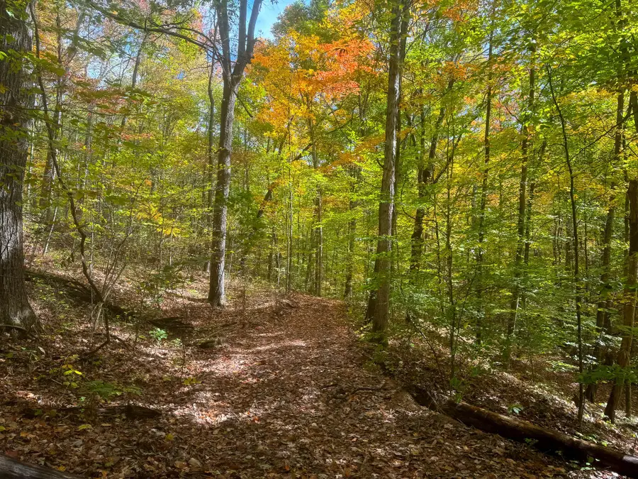 7459 Township Rd 215-a Se, Corning, OH 43730 - #2