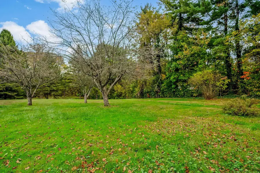 6550 Kitzmiller Road, New Albany, OH 43054 - #3