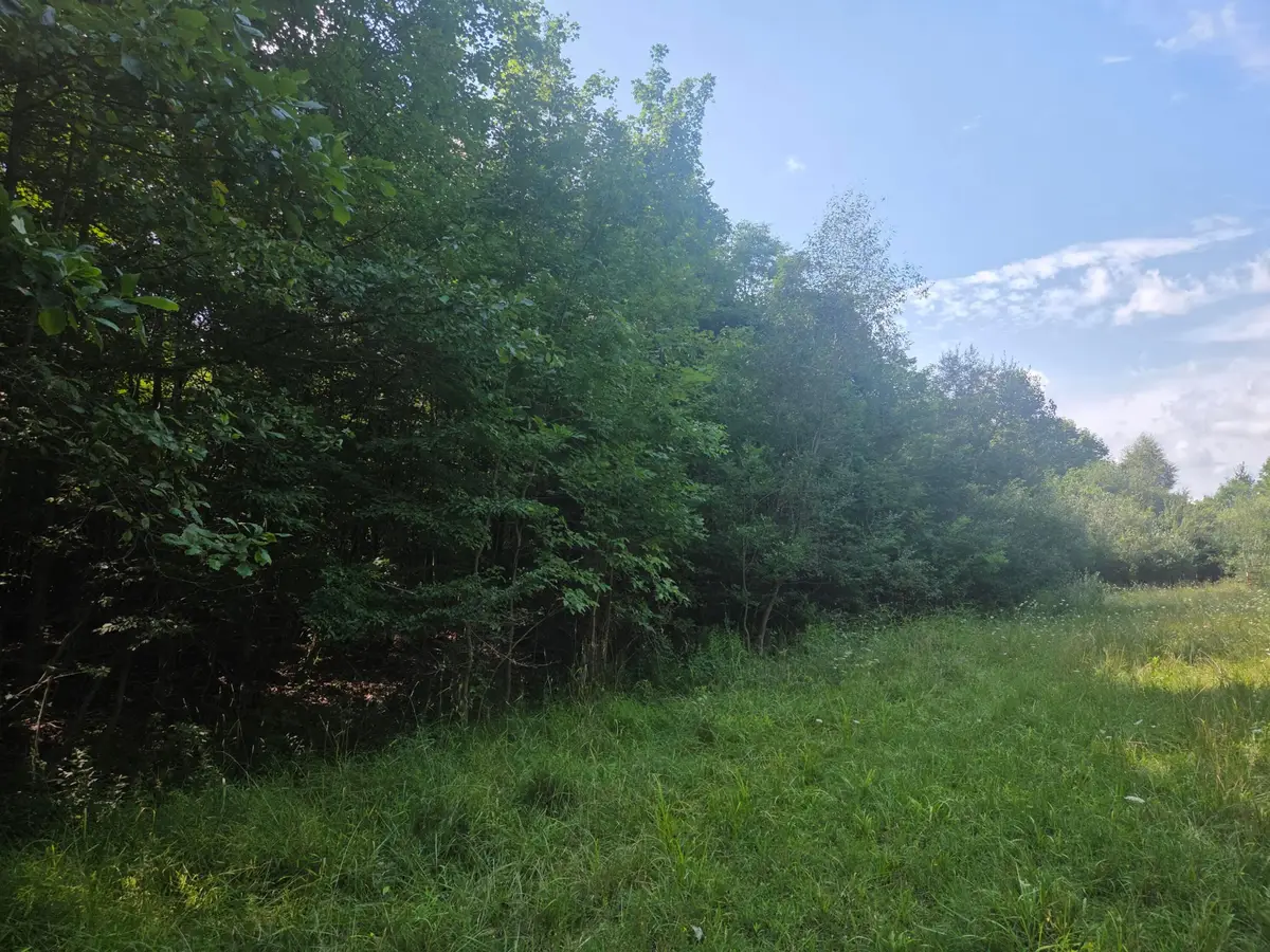 7326 Ohio 19, Mount Gilead, OH 43338 - #1