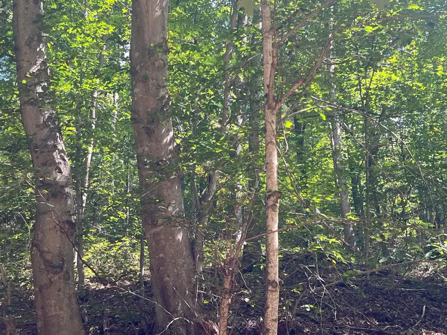 0 Goose Creek Road, South Bloomingville, OH 43152 - #3