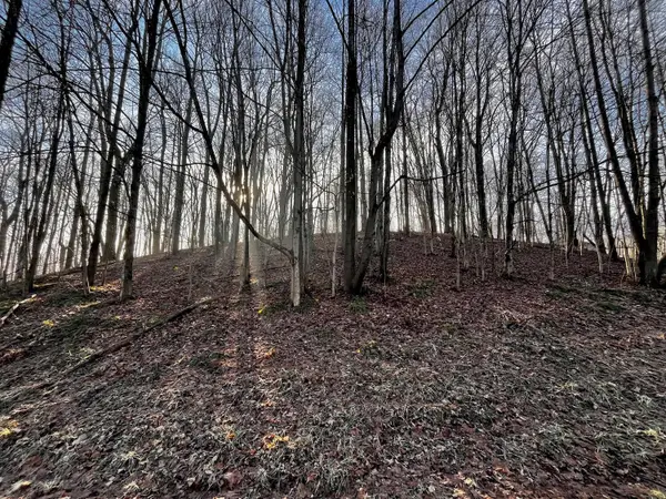 691 Crestrose Drive, Howard, OH 43028