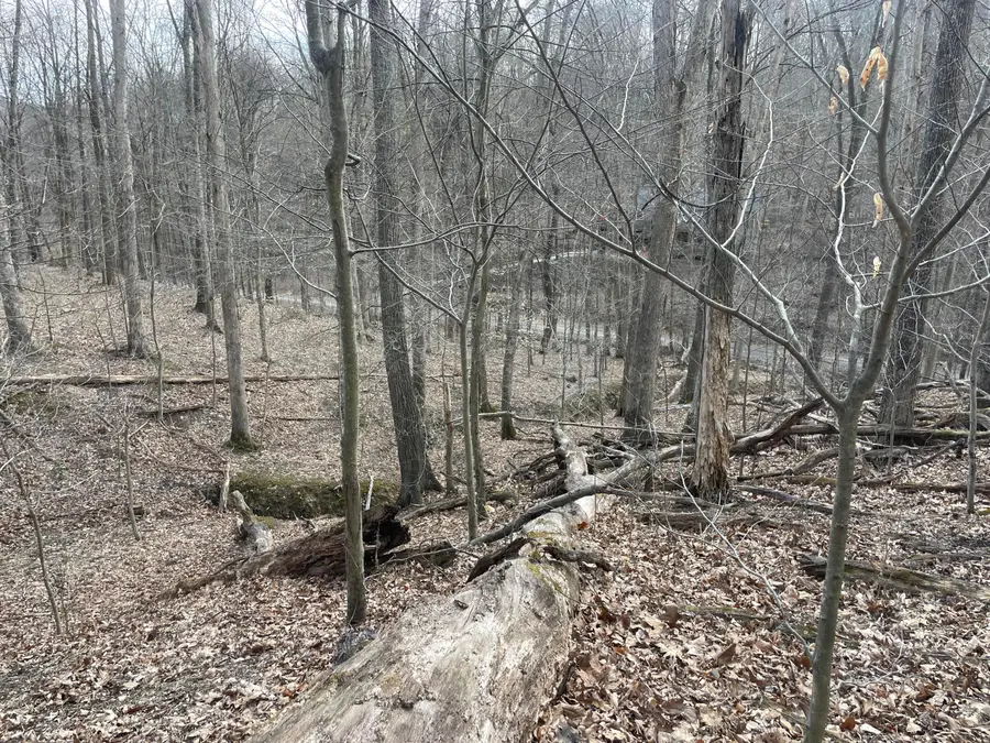 0 Bearclaw Court Se, Sugar Grove, OH 43155 - #3