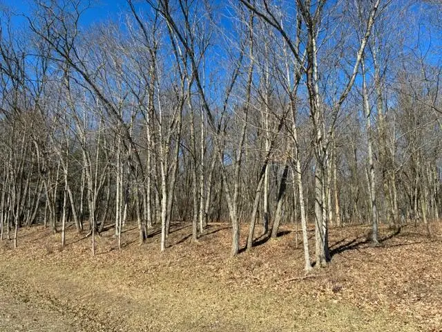 7326 State Route 19, Mount Gilead, OH 43338 - #3