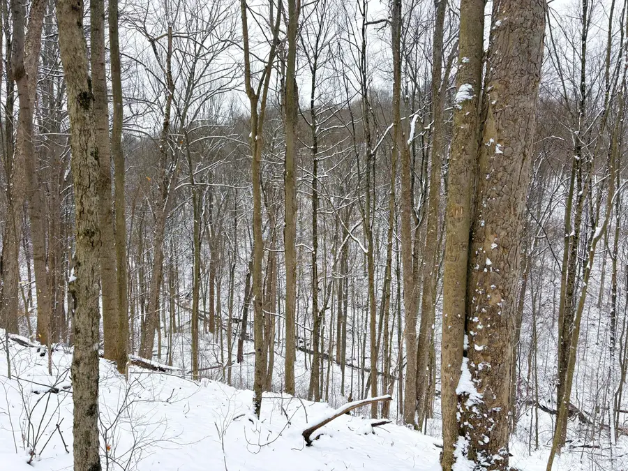 0 Tract 2 Morris Ridge Road, Woodsfield, OH 43793 - #2