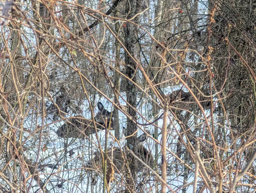 0 Tract 10 Kuhn Run, Lewisville, OH 43754 - #3