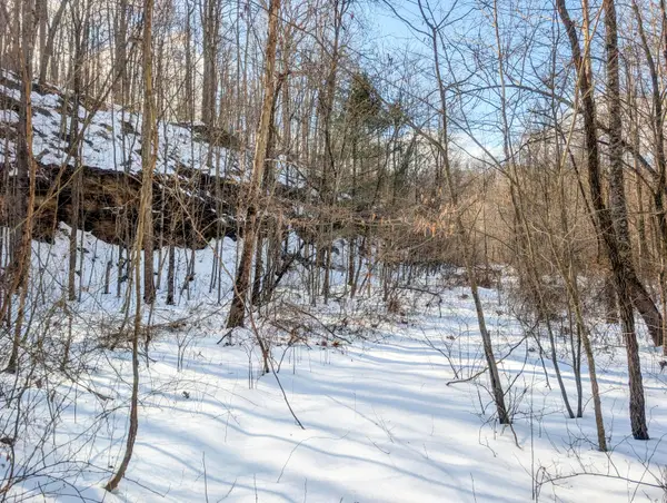 0 Tract 13 Ayers Ridge Rd, Lower Salem, OH 45745