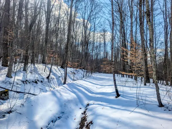 0 Tract 15 Peaker Run Rd, Macksburg, OH 45746