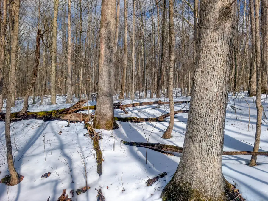 0 Tract 15 Peaker Run Rd, Macksburg, OH 45746 - #3