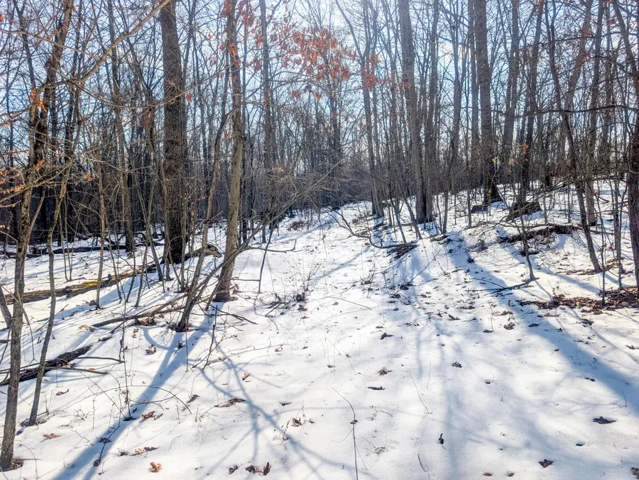 0 Tract 16 Ch 59, Cutler, OH 45724 - #3