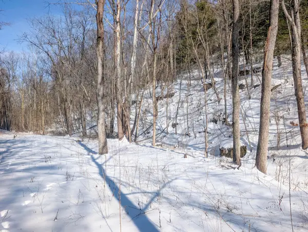 0 Tract 17 Brown Peavine Rd Road, Barnesville, OH 43713