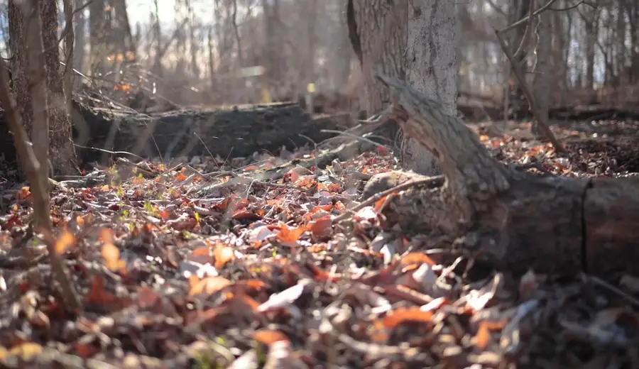 0 Cherry Lane Nw, Baltimore, OH 43105 - #3