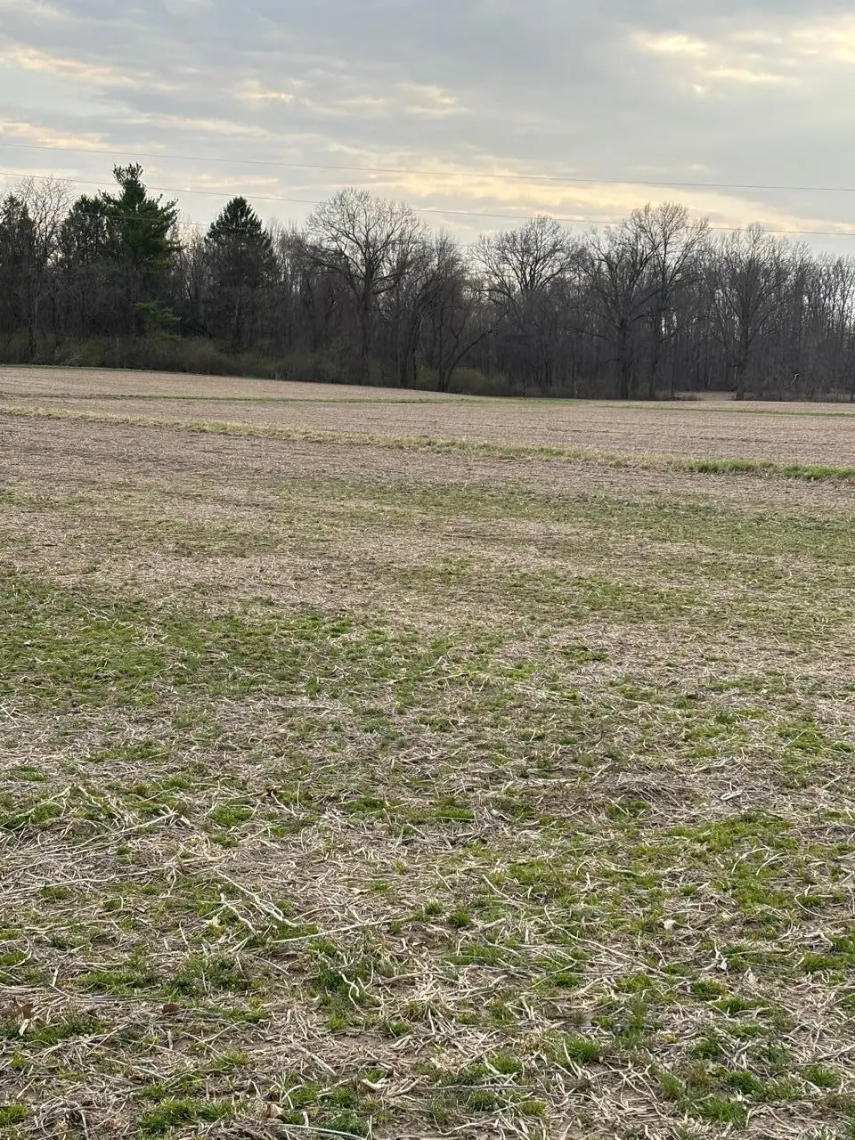 0 Longshore Road, Sunbury, OH 43074 - #1