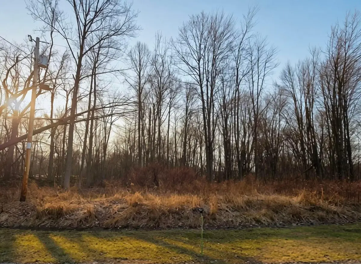 7326 State Route 19, Mount Gilead, OH 43338 - #1