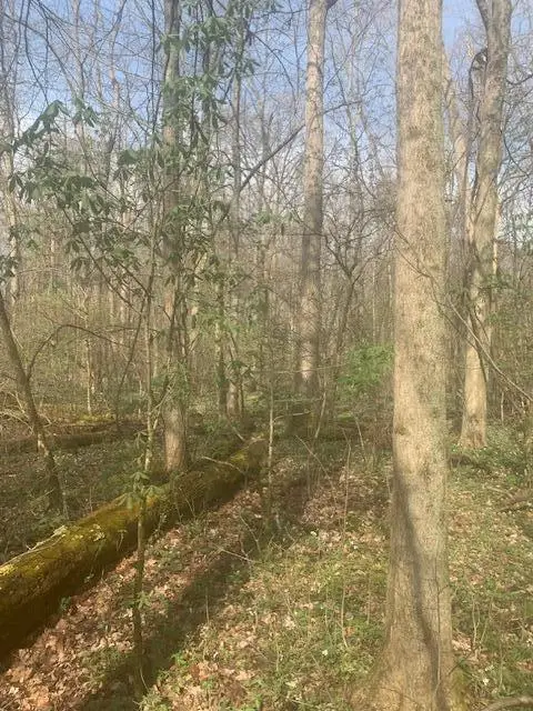 0 Township Road 188, Cardington, OH 43315