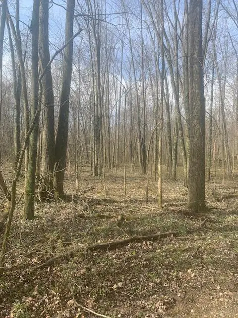 0 Township Road 188, Cardington, OH 43315 - #2