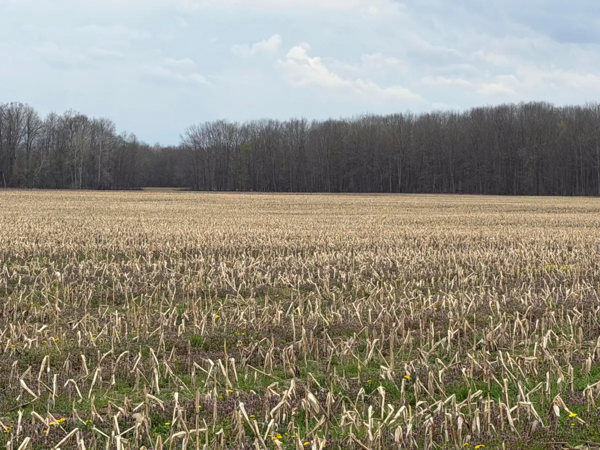 0 Forman Road, Austinburg, OH 44010 - #1