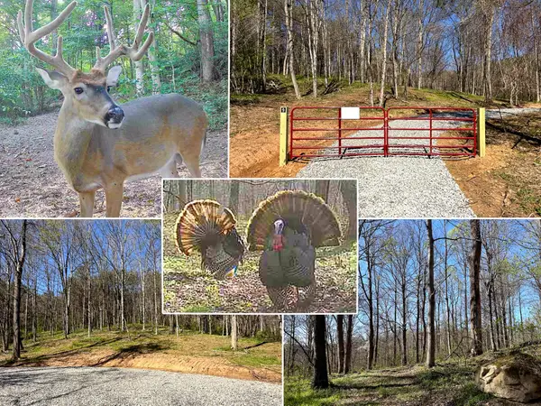 0 Little Kyger Road, Cheshire, OH 45620