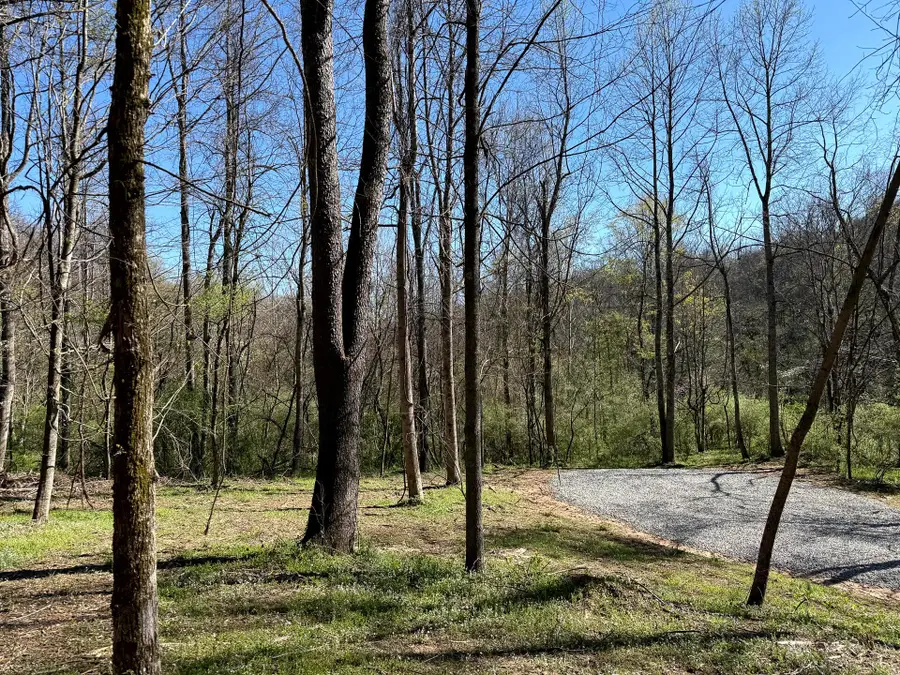 0 Little Kyger Road, Cheshire, OH 45620 - #2