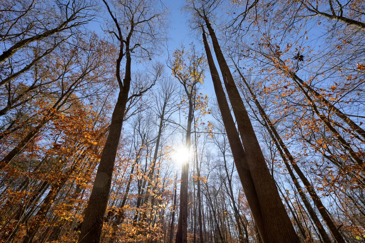 0 Morning Star Road, Racine, OH 45771 - #1