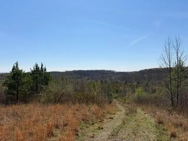 66263 Old Shurtz Road, New Plymouth, OH 45654 - #2