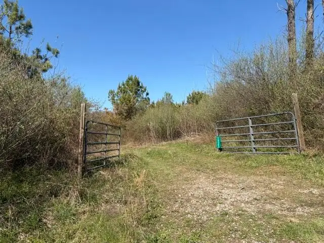 66263 Old Shurtz Road, New Plymouth, OH 45654 - #3