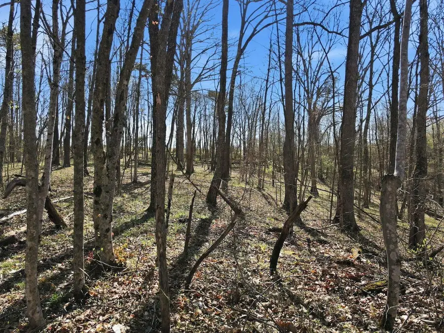 0 Roberts Rd Road, Jackson, OH 45640 - #2