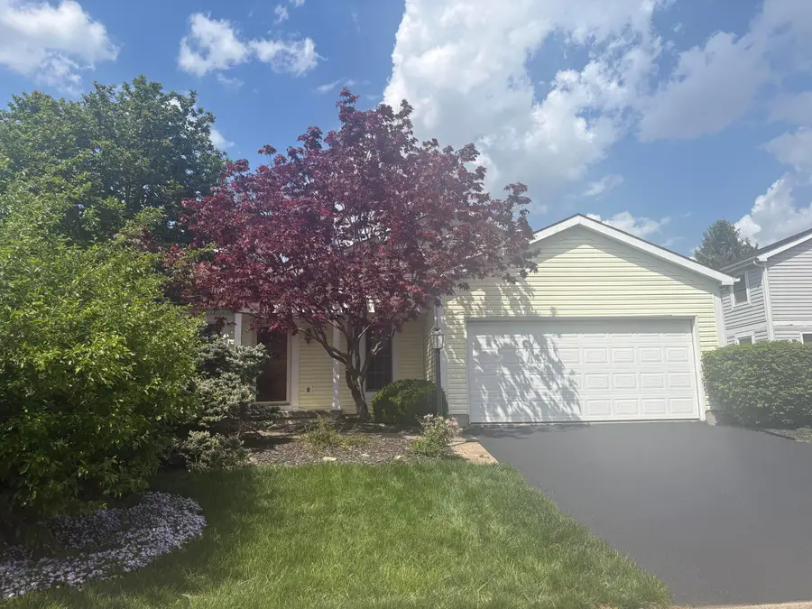 7784 Leaview Drive, Columbus, OH 43235 - #3