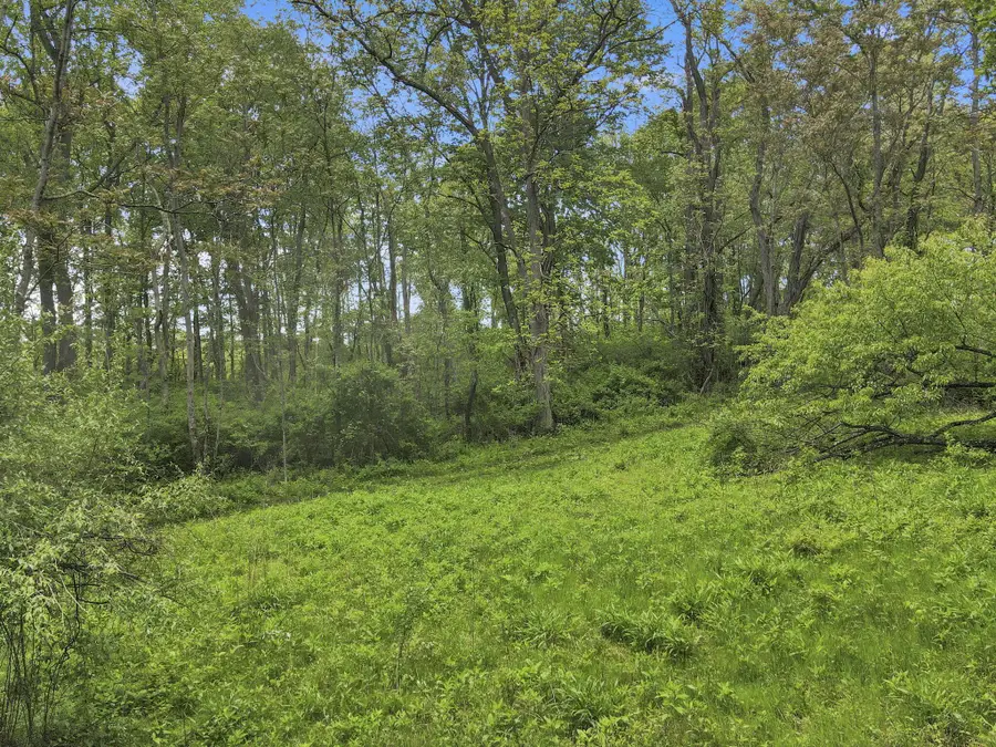 29500 Fairview Ridge Road, Logan, OH 43138 - #3