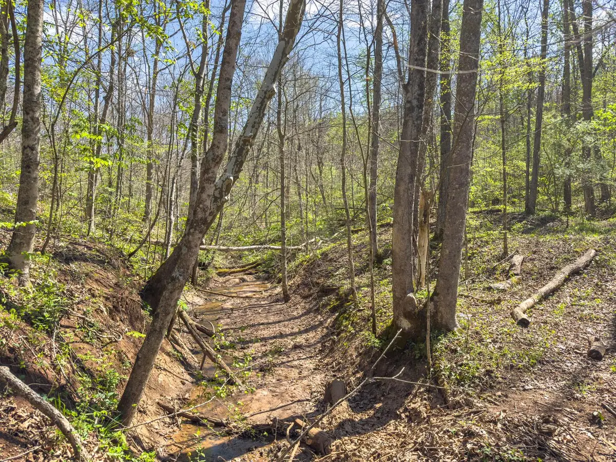 5235 Pounds Road, Chesterhill, OH 43728 - #1
