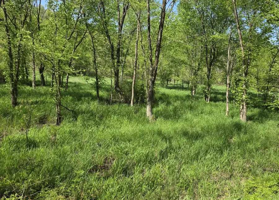 6820 Crane Run Road, Cumberland, OH 43732 - #3