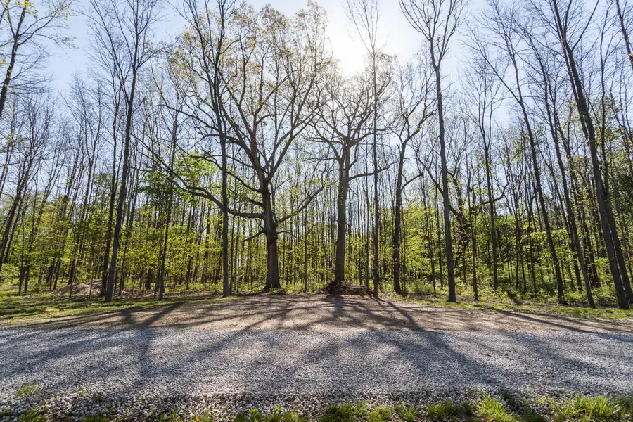 5387 Dildine Road, Delaware, OH 43015 - #3