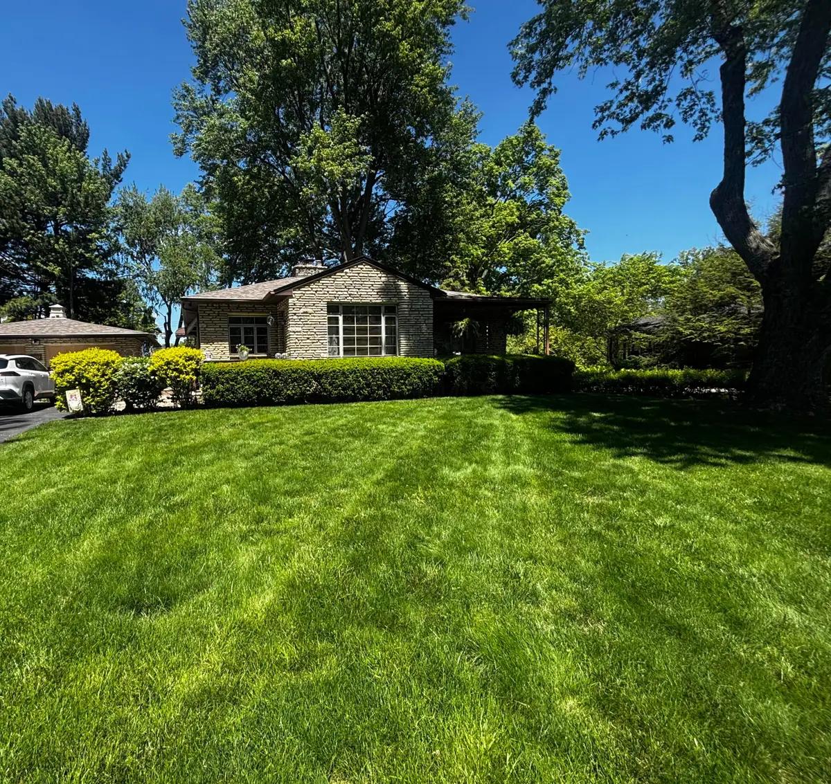 220 Lintner Street, Columbus, OH 43230 - #1