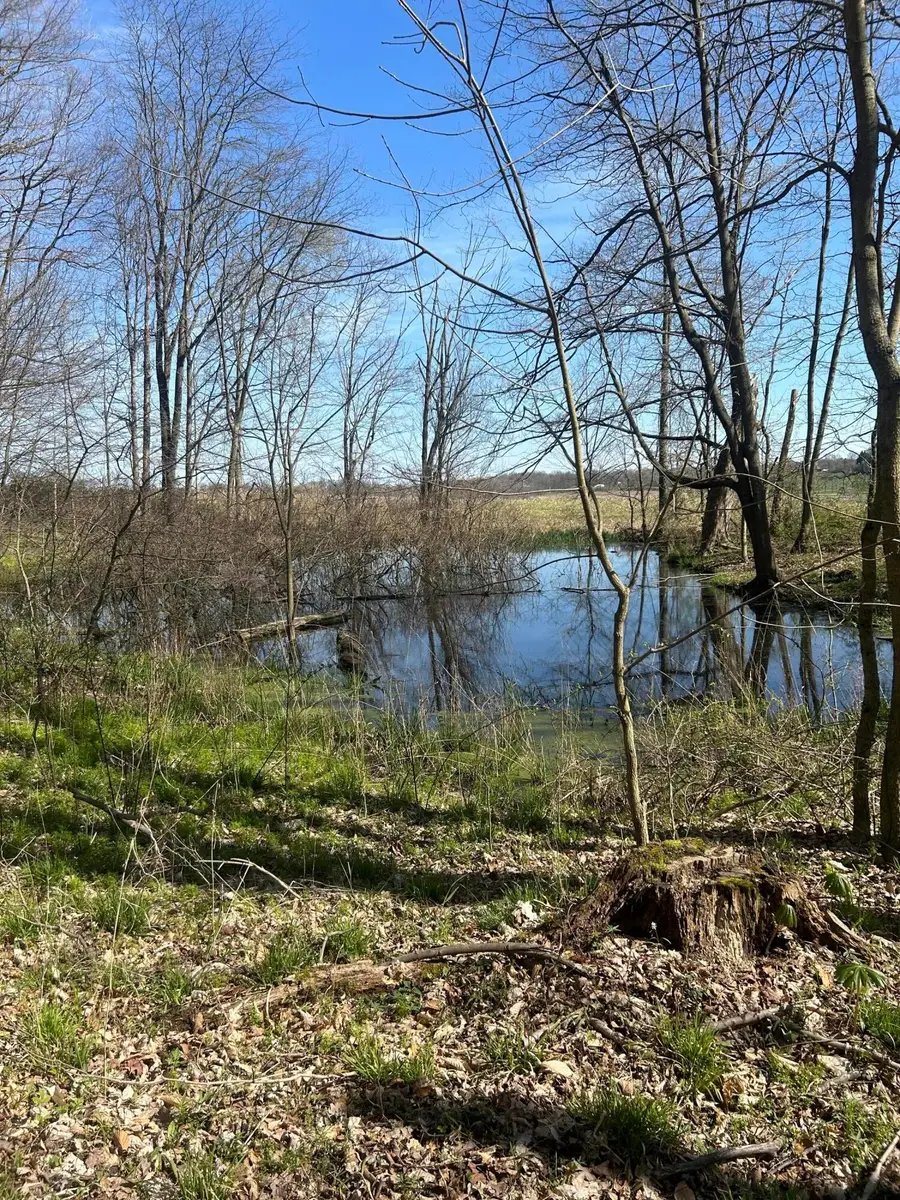 0 County Road 14, Mount Gilead, OH 43338 - #2