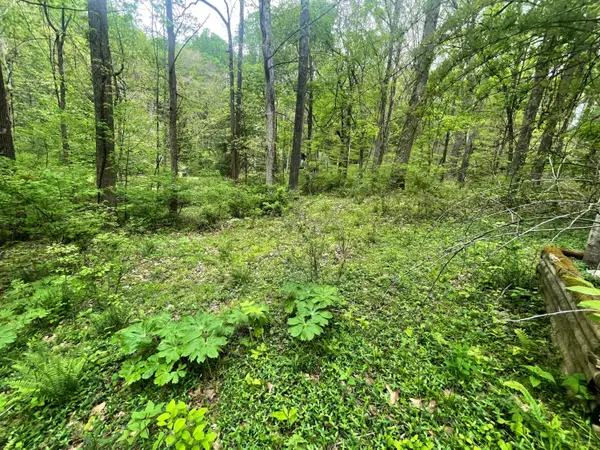 12593 Trillium Way, Rockbridge, OH 43149